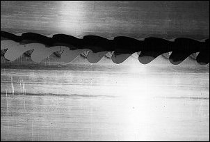 pg7cg.jpg (13727 bytes)